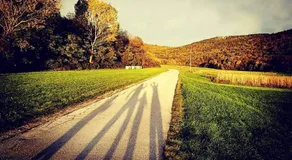 Gaja - Image 2