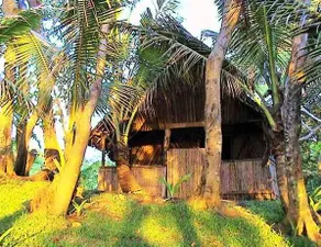 Sunrise Bungalows Tanna Island - Image 5