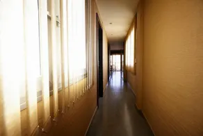 Canonigo Torres - Image 5
