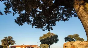Dehesa de Montealto - Image 2