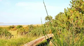 4 person holiday home in Martofte - Image 2