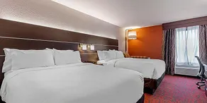 Holiday Inn Express Metropolis - Image 3