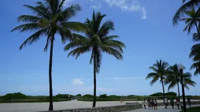 The Netherlands 3 Br Two Story Townhouse W Ocean Views Sbr 566 - Image 5