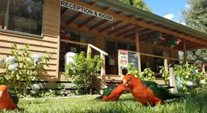 Jamieson Caravan Park - Image 2