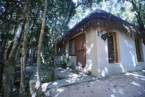 Cachito De Cielo Luxury Jungle Lodge - Image 2