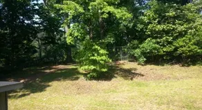 Quiet & Convenient - Image 2