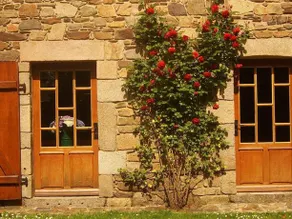 Manoir de Coat Gueno - Image 3