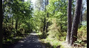 Location Fantaisie Ondres - Image 4