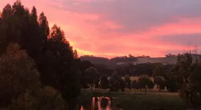 Goldie Views - Image 3