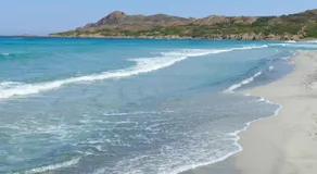 petit paradis pres ile rousse gite les cortalines Lama - Image 5
