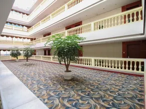 Elegant Manju Hotel (Jinhua High-speed Railway Station Branch) - Image 2
