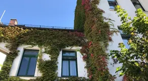 Budget Pension Plauen - Image 3