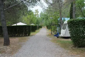 Camping Villa De Viver - Image 5