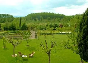 Mas De La Roda - Image 5