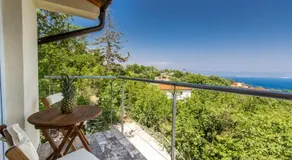 Villa Surina - Image 5