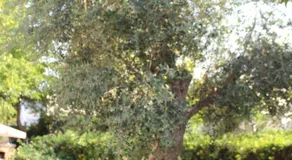 Casa Vacanze Turchese - Image 5