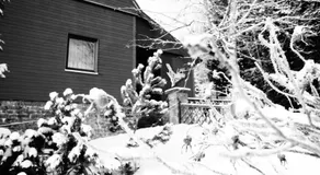 Ferienhaus Freitag - Image 3
