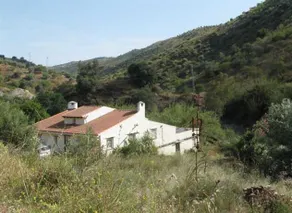 Molino Enriquez - Image 2