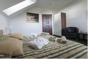 Hotel Krušnohorský Dvur - Image 4
