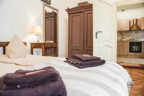 Brukenthal Central Apartments Sibiu - Image 3