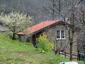 Il Podere Di Giada - Image 2