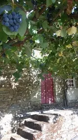 Casa Castedo do Douro - Image 2