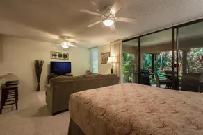 Wailea Ekahi 52B - Garden View Studio/1BA - Image 3