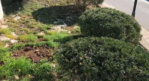 Villa Binicudi - Image 3