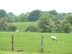 EAGLEHILL FARMHOUSE B&B - Image 3