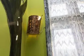 'Guest House' Hostel - Happy Sunrise - Image 4