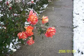 Alsó-Kúti Vendégház - Image 5