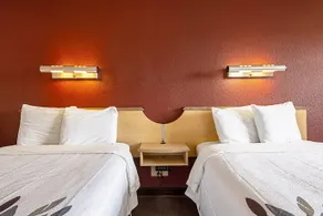 Red Roof Inn Jacksonville Airport - Image 4