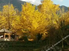Tengchong Jinqiu Farm Stay - Image 5