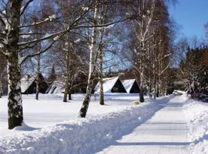CAMP Dolce - Image 3