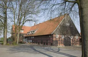 Meier-Westmeyer - Image 3