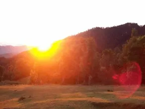 Kausani Best Inn - Image 2