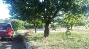 chez Patricia - Image 4