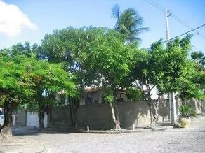 Olindapart - Image 2