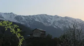 Village House - Image 4