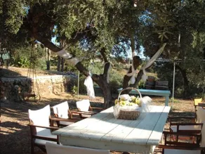 VILLA FORESTATA - Image 3