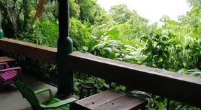Manuel Antonio Park House - Image 3