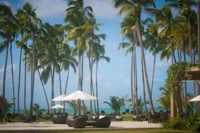 Coson Bay - Image 2