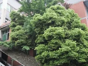 JINQUAN HOSTEL - Image 4