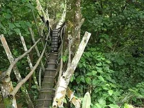 Kampung Benuk Homestay - Image 5