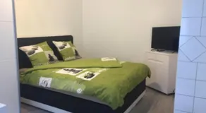 Private Studio Apartment in Bremgarten - Image 3