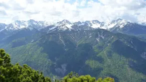 Pension Arnspitze - Image 4