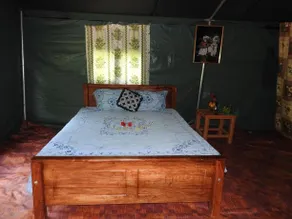 Yala Peocok Camping - Image 4