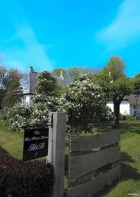 Bed And Breakfast The Wee White Hoose - Image 5