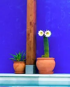 Atelier 88 - Image 4
