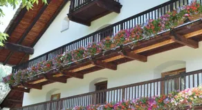 Flora Alpina apartments-Residenza Verdebjo - Image 4